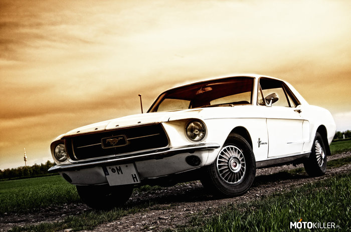 Moje marzenie to mieć Mustanga... – Skromne marzenie. 